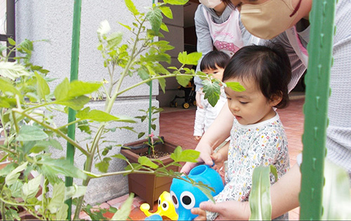 小笹/保育園の特色